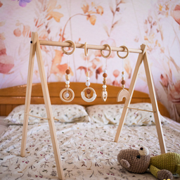 Baby gym