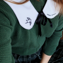 Kragnica na dzemperu