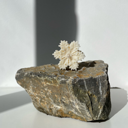 1 Sveća - pahuljica