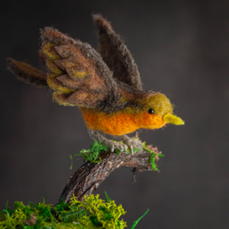 ptica, prirodna vuna