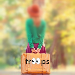 Trooopshandmade